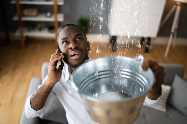 Best Water damage restoration near me  in Whitestown, IN