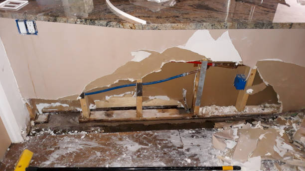 Best Carpet water damage restoration  in Whitestown, IN