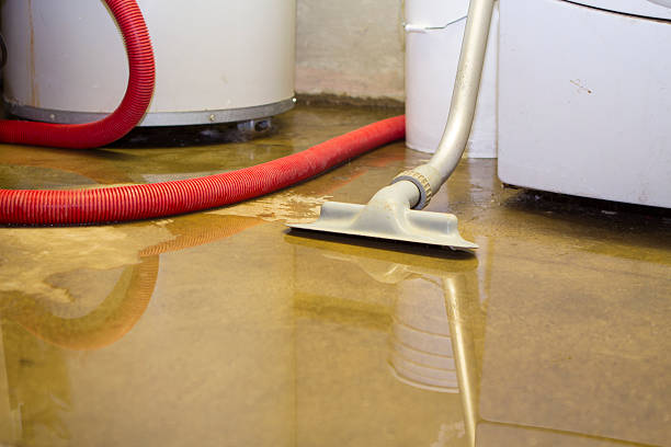 Best Local water damage restoration  in Whitestown, IN