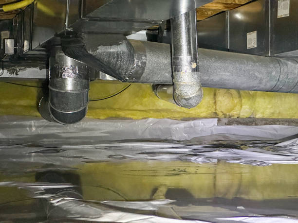 Best Flood damage cleanup  in Whitestown, IN