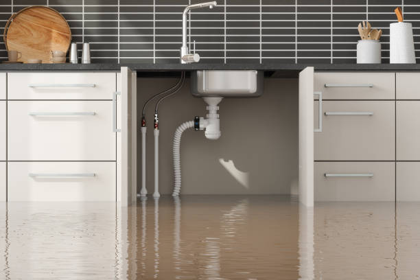 Best Commercial water damage restoration  in Whitestown, IN